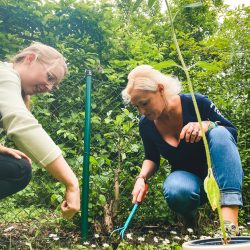 Zwei Frauen gärtnern im Freien in der Nähe eines Zauns. Eine benutzt ein Handwerkzeug, während die andere auf den Boden zeigt. Im Vordergrund steht eine Topfpflanze.