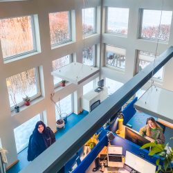 Drei Personen arbeiten an Schreibtischen in einem hellen, modernen Büro mit großen Fenstern, die eine verschneite Landschaft im Freien zeigen.