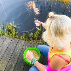 Eine Person mit blonden Haaren sitzt auf einem Steg und streut aus einem grünen Eimer Fischfutter in einen Teich.