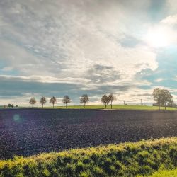 Apelntown in the sun